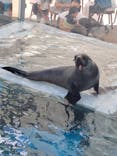 京都水族館に投稿された画像（2024/9/23）