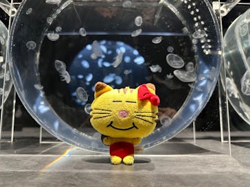 AOAO SAPPOROに投稿された画像（2024/9/23）