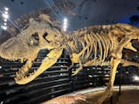 福井県立恐竜博物館に投稿された画像（2024/9/23）