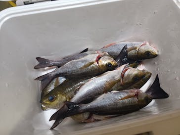 With Ocean（ウィズオーシャン）に投稿された画像（2024/9/23）