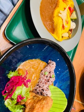 福井県立恐竜博物館に投稿された画像（2024/9/23）