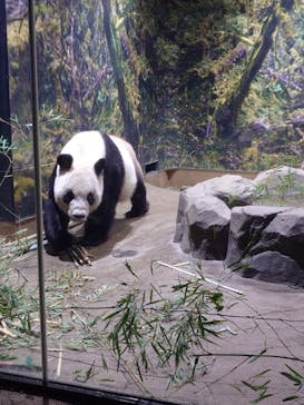 恩賜上野動物園に投稿された画像（2024/9/23）