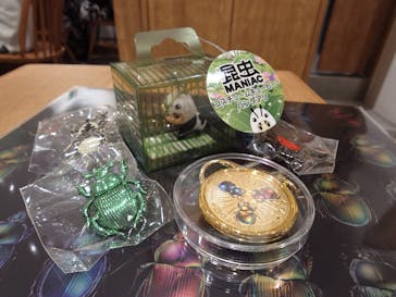 特別展「昆虫 MANIAC」（国立科学博物館）に投稿された画像（2024/9/23）