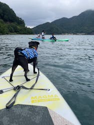 Nagomi Nature Connections（ナゴミ ネイチャー コネクションズ）に投稿された画像（2024/9/23）