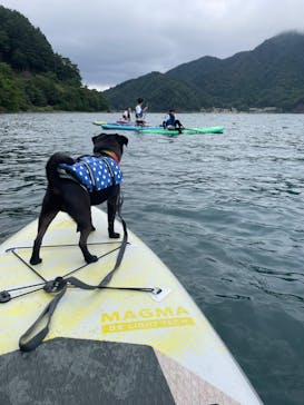 Nagomi Nature Connections（ナゴミ ネイチャー コネクションズ）に投稿された画像（2024/9/23）