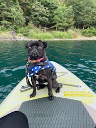 Nagomi Nature Connections（ナゴミ ネイチャー コネクションズ）に投稿された画像（2024/9/23）