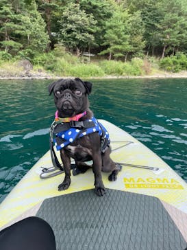 Nagomi Nature Connections（ナゴミ ネイチャー コネクションズ）に投稿された画像（2024/9/23）