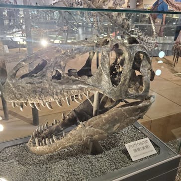 福井県立恐竜博物館に投稿された画像（2024/9/23）