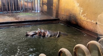 名古屋市東山動植物園に投稿された画像（2024/9/23）