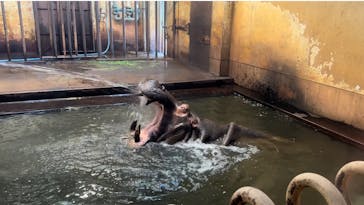 名古屋市東山動植物園に投稿された画像（2024/9/23）