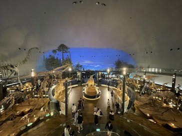 福井県立恐竜博物館に投稿された画像（2024/9/23）