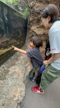 環境水族館アクアマリンふくしまに投稿された画像（2024/9/23）