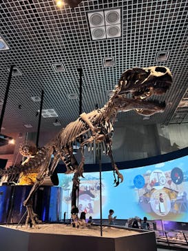 国立科学博物館に投稿された画像（2024/9/23）