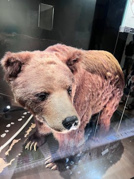 国立科学博物館に投稿された画像（2024/9/23）