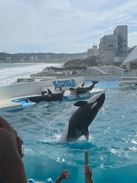 鴨川シーワールドに投稿された画像（2024/9/23）