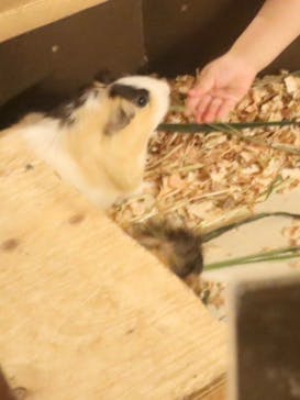 伊豆シャボテン動物公園に投稿された画像（2024/9/23）