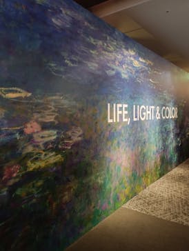 モネ＆フレンズ・アライブに投稿された画像（2024/9/23）