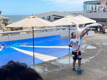 大分マリーンパレス水族館 「うみたまご」に投稿された画像（2024/9/23）