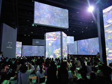 モネ＆フレンズ・アライブに投稿された画像（2024/9/23）