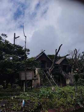 伊豆シャボテン動物公園に投稿された画像（2024/9/23）