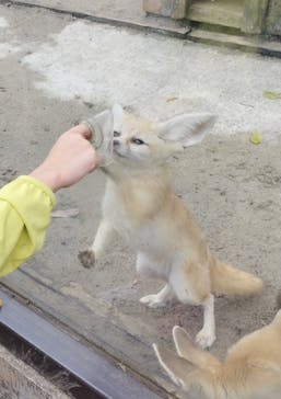 伊豆シャボテン動物公園に投稿された画像（2024/9/23）