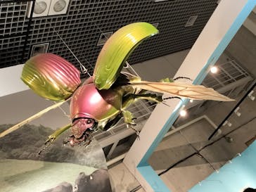 特別展「昆虫 MANIAC」（国立科学博物館）に投稿された画像（2024/9/23）