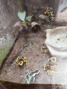 仙台うみの杜水族館に投稿された画像（2024/9/23）