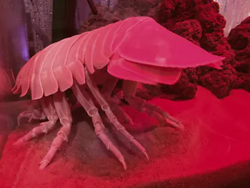 仙台うみの杜水族館に投稿された画像（2024/9/23）