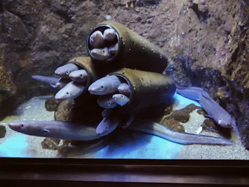 仙台うみの杜水族館に投稿された画像（2024/9/23）