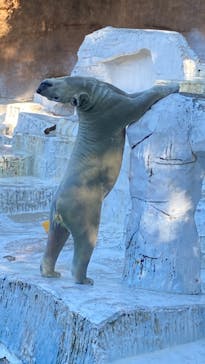 天王寺動物園に投稿された画像（2024/9/23）