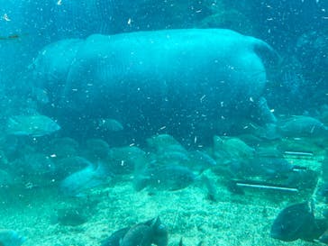 天王寺動物園に投稿された画像（2024/9/23）