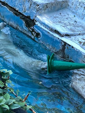 天王寺動物園に投稿された画像（2024/9/23）