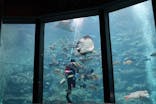 下田海中水族館に投稿された画像（2024/9/24）