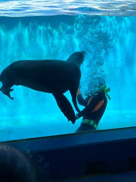 下田海中水族館に投稿された画像（2024/9/23）