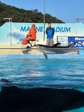 下田海中水族館に投稿された画像（2024/9/23）
