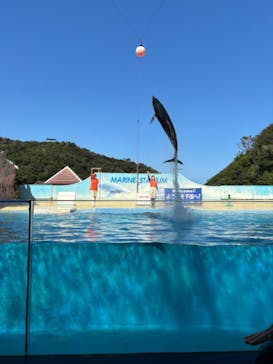 下田海中水族館に投稿された画像（2024/9/23）