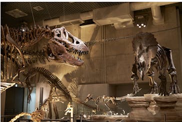 国立科学博物館に投稿された画像（2024/9/23）