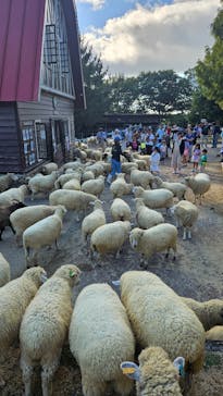 神戸市立六甲山牧場に投稿された画像（2024/9/23）