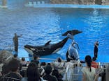 名古屋港水族館に投稿された画像（2024/9/24）