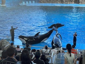 名古屋港水族館に投稿された画像（2024/9/23）