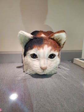 特別展「ネコ」 ～にゃんと！クールなハンターたち～に投稿された画像（2024/9/23）
