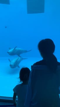 名古屋港水族館に投稿された画像（2024/9/24）