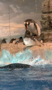 名古屋港水族館に投稿された画像（2024/9/24）