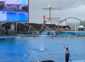 名古屋港水族館に投稿された画像（2024/9/24）