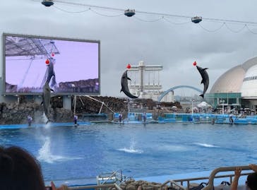 名古屋港水族館に投稿された画像（2024/9/24）