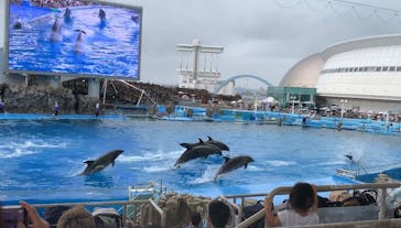 名古屋港水族館に投稿された画像（2024/9/24）