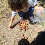 農業公園信貴山のどか村に投稿された画像（2024/9/24）