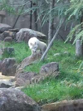 那須どうぶつ王国に投稿された画像（2024/9/24）