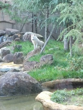 那須どうぶつ王国に投稿された画像（2024/9/24）