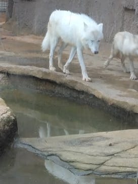 那須どうぶつ王国に投稿された画像（2024/9/24）